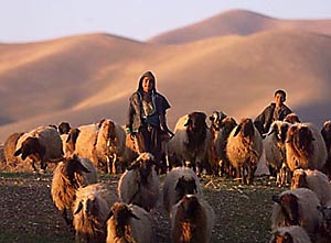 Kurdish boys herding sheep in Iraq (photo: oppression.org)